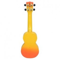 Hisbiscus, orange burst 2
