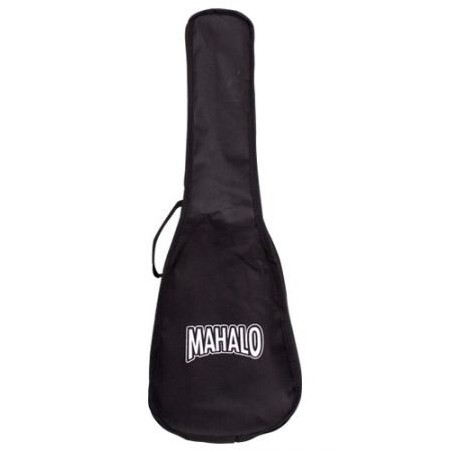 Hisbiscus, orange burst