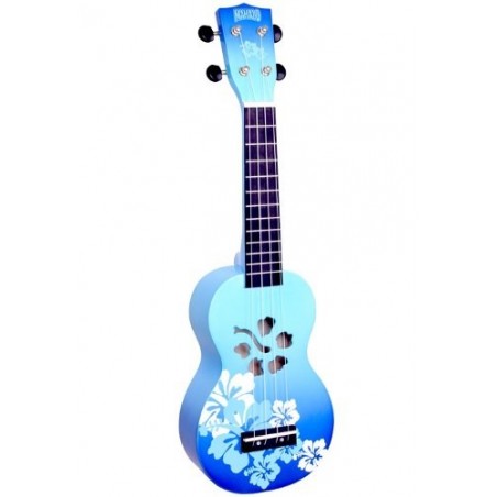 Hisbiscus, blue burst