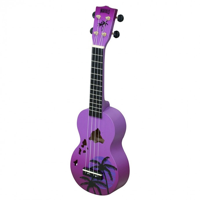 Hawaii, purple burst