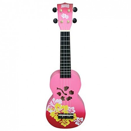 Hisbiscus, red burst