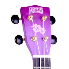 Hisbiscus, purple burst 2