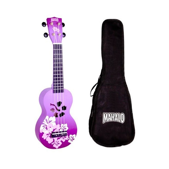 Hisbiscus, purple burst