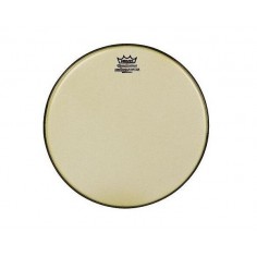 RA-0013-SS