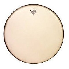 RA-0010-SS