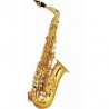 ALTO SAXOPHONE WITH SOFT CASE