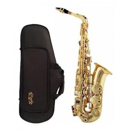ALTO SAXOPHONE WITH SOFT CASE