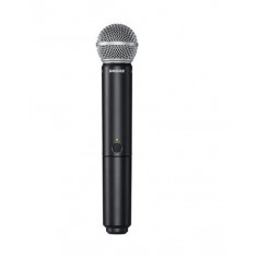 BLX2/SM58-M15