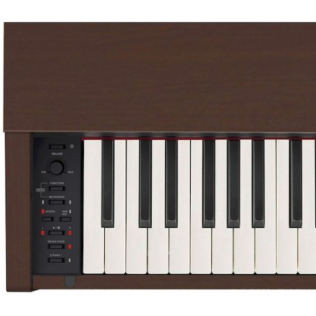 Piano Con Mueble PX770BN