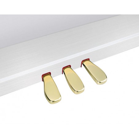 Piano Hibrido GP-310WE