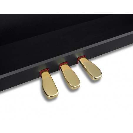 Piano Hibrido GP-310BK