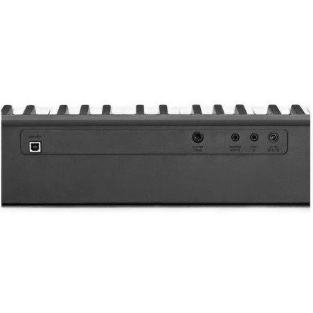 Piano De Escenario CDP-S110BK