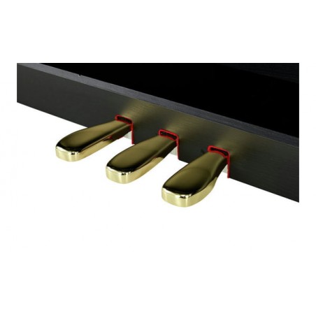 Piano Con Mueble AP470BK