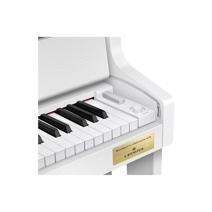 Piano Hibrido GP-310WE
