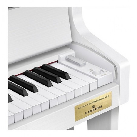 Piano Hibrido GP-310WE