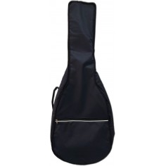 K220A