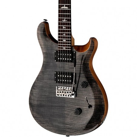 SE Custom 24 Charcoal New Color
