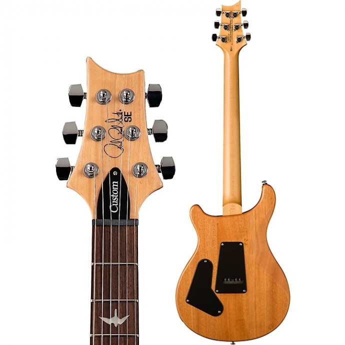 SE Custom 24 Charcoal New Color