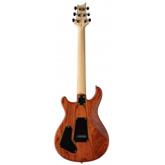 SE Swamp Ash Special... 2
