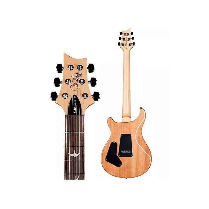 SE Custom 24 Blue Faded