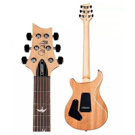 SE Custom 24 Blue Faded