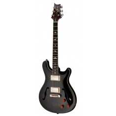 SE Hollowbody Standard... 2