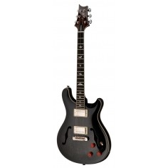 SE Hollowbody Standard Dog... 2