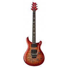 SE Custom 24  Floyd Rose...