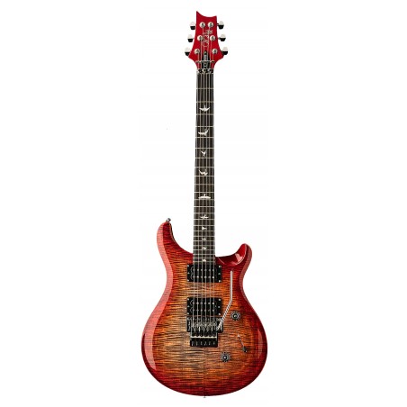 SE Custom 24  Floyd Rose  Charcoal Cherry Burst