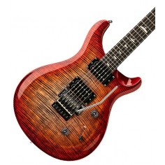 SE Custom 24  Floyd Rose... 2