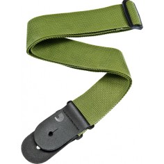 PWS107