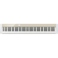 Piano De Escenario PX-S1100RD