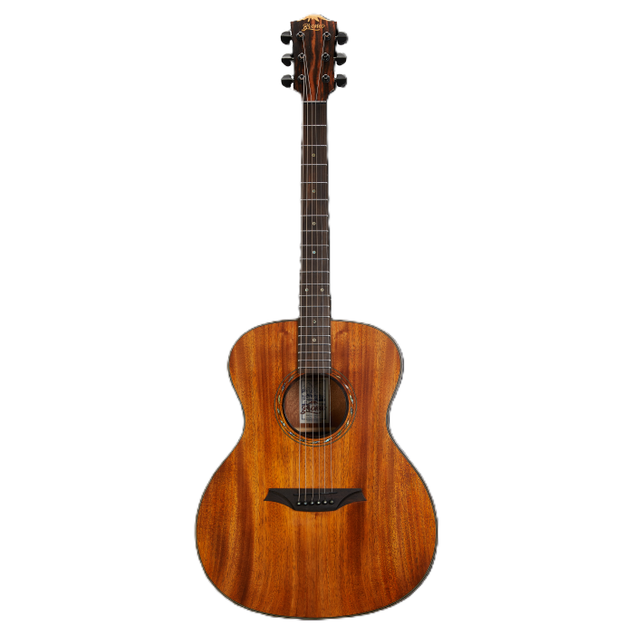 BAT2M