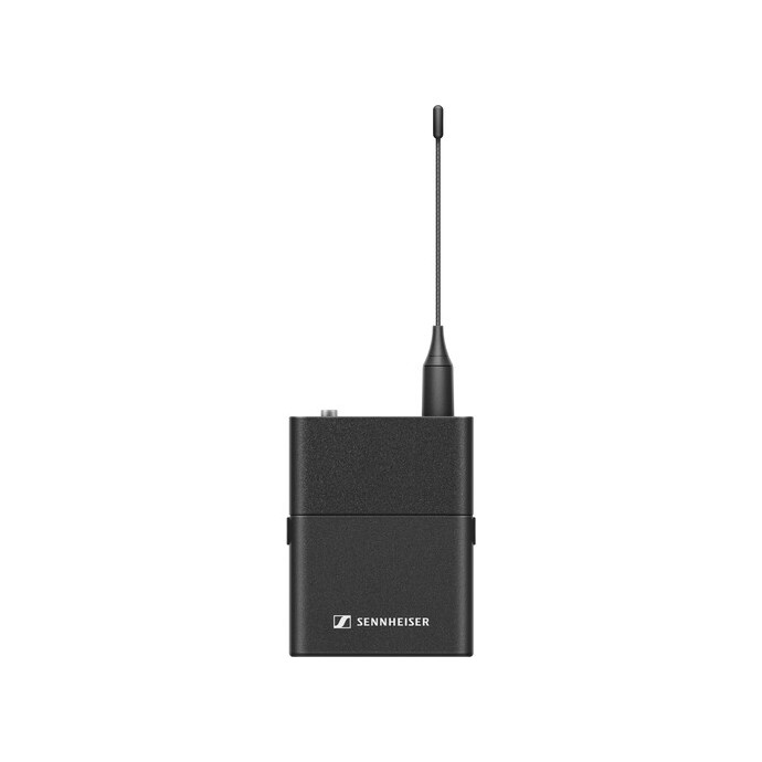 EW-D SK (Q1-6)
