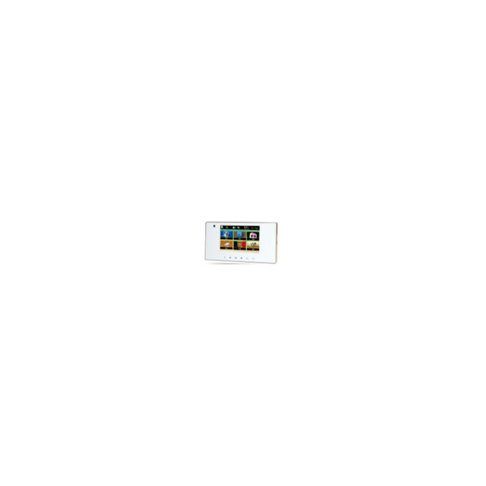 W-4301