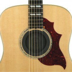 PW-SH-01 2