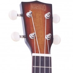 Ukelele Serie JAVA  2