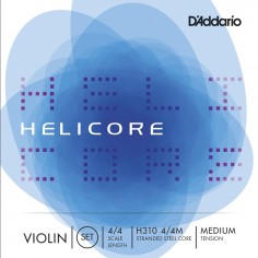 H3104/4M